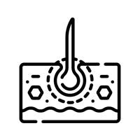 Deep <br/> Repair