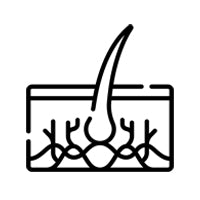 Root </br>Strengthening