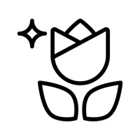 Rose <br/> Freshness