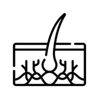 Strengthens Hair