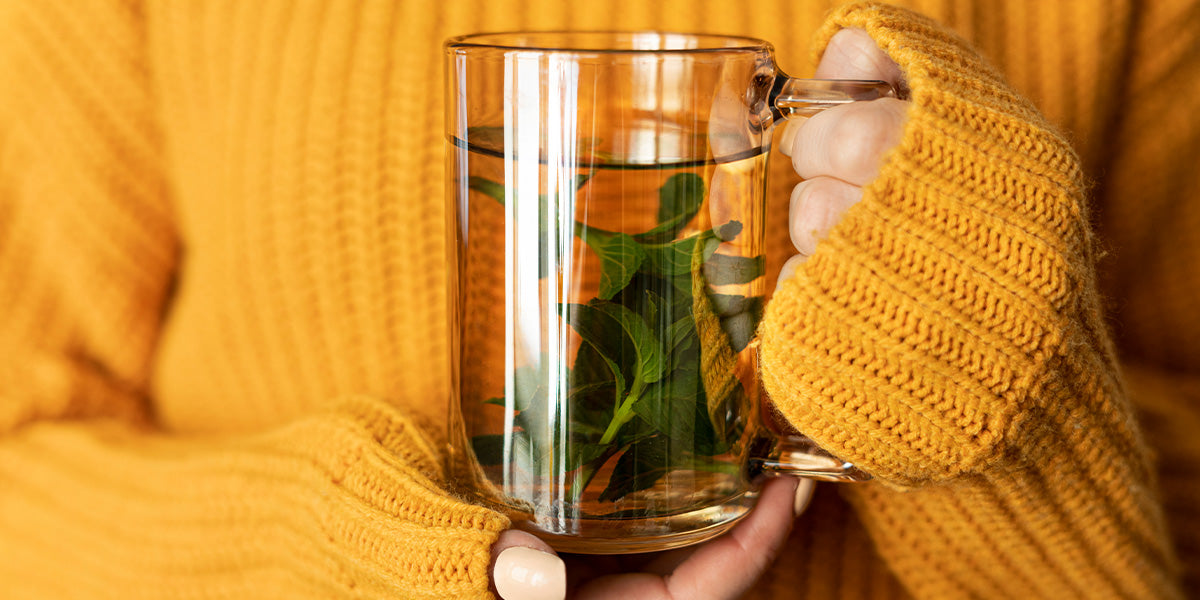 10 MOST POWERFUL HERBS IN AYURVEDA THAT HELP BOOST IMMUNITY AGAINST COVID-19