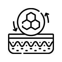 Cell <br/>  Repair 