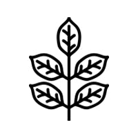 Neem  <br/> Purity 