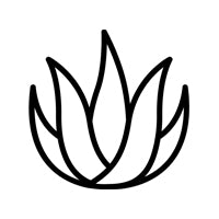 Pure </br>Aloe Vera