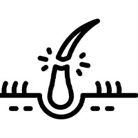 Reduces  <br/> Hair Fall